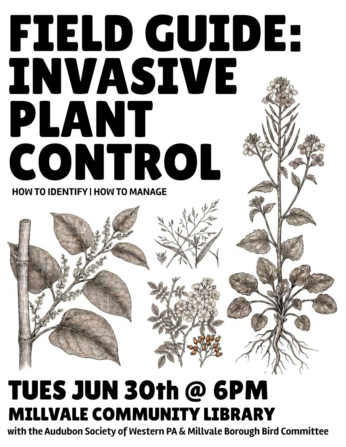 ControllingInvasives (002)